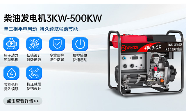 柴油發(fā)電機3KW-500KW 單三相手電啟動